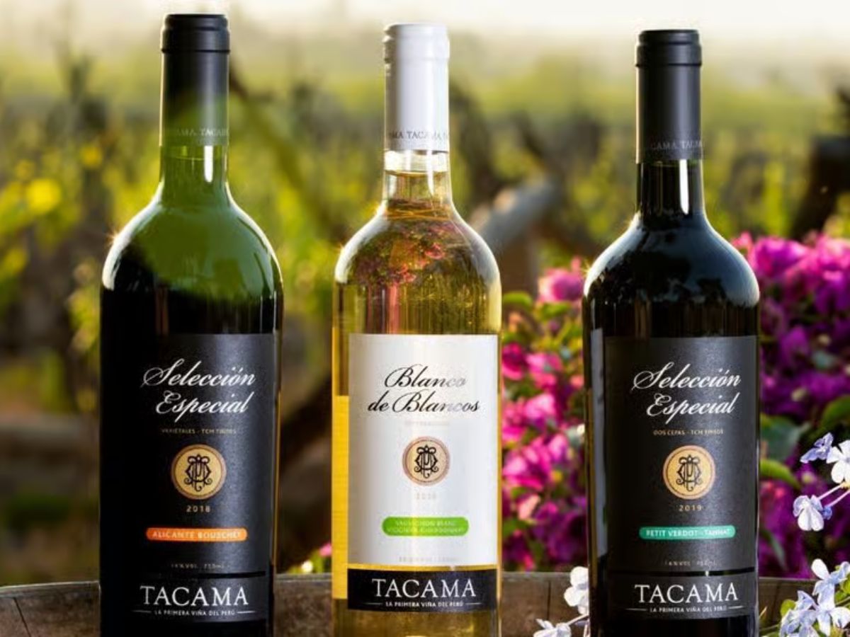 Bebidas típicas de Ica