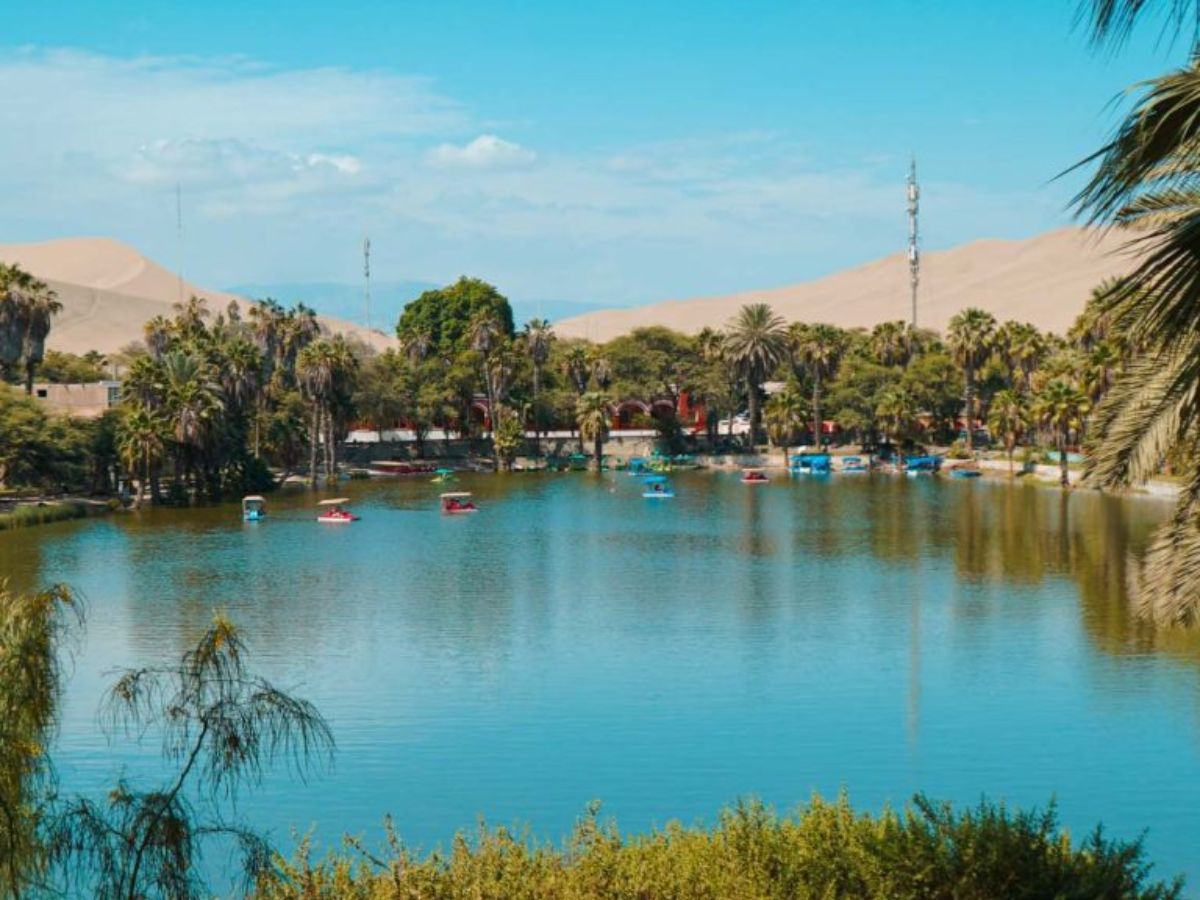 Mejores tours en Ica